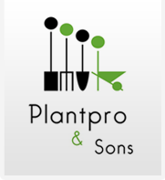 Plantpro & Sons Landscape Construction Whangarei Plantpro & Sons Landscape Construction Whangarei