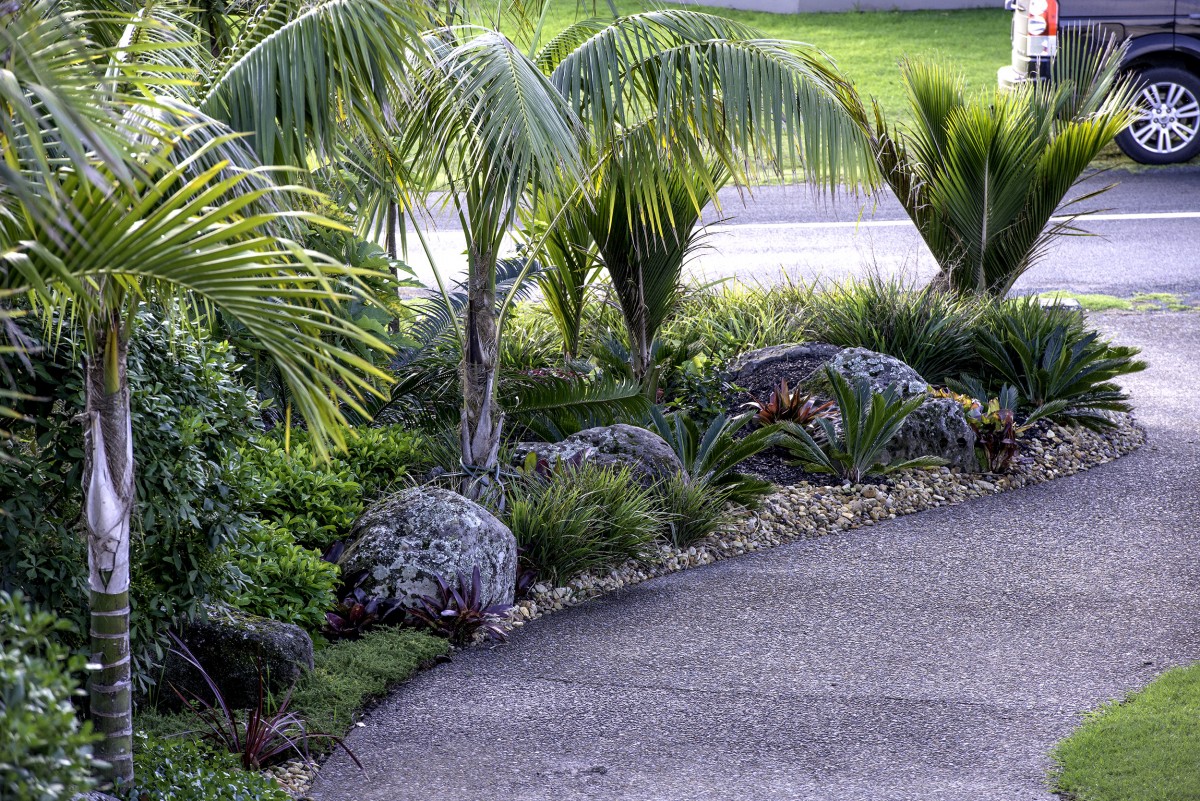 Planting Plantpro Sons planting-plantpro-sons