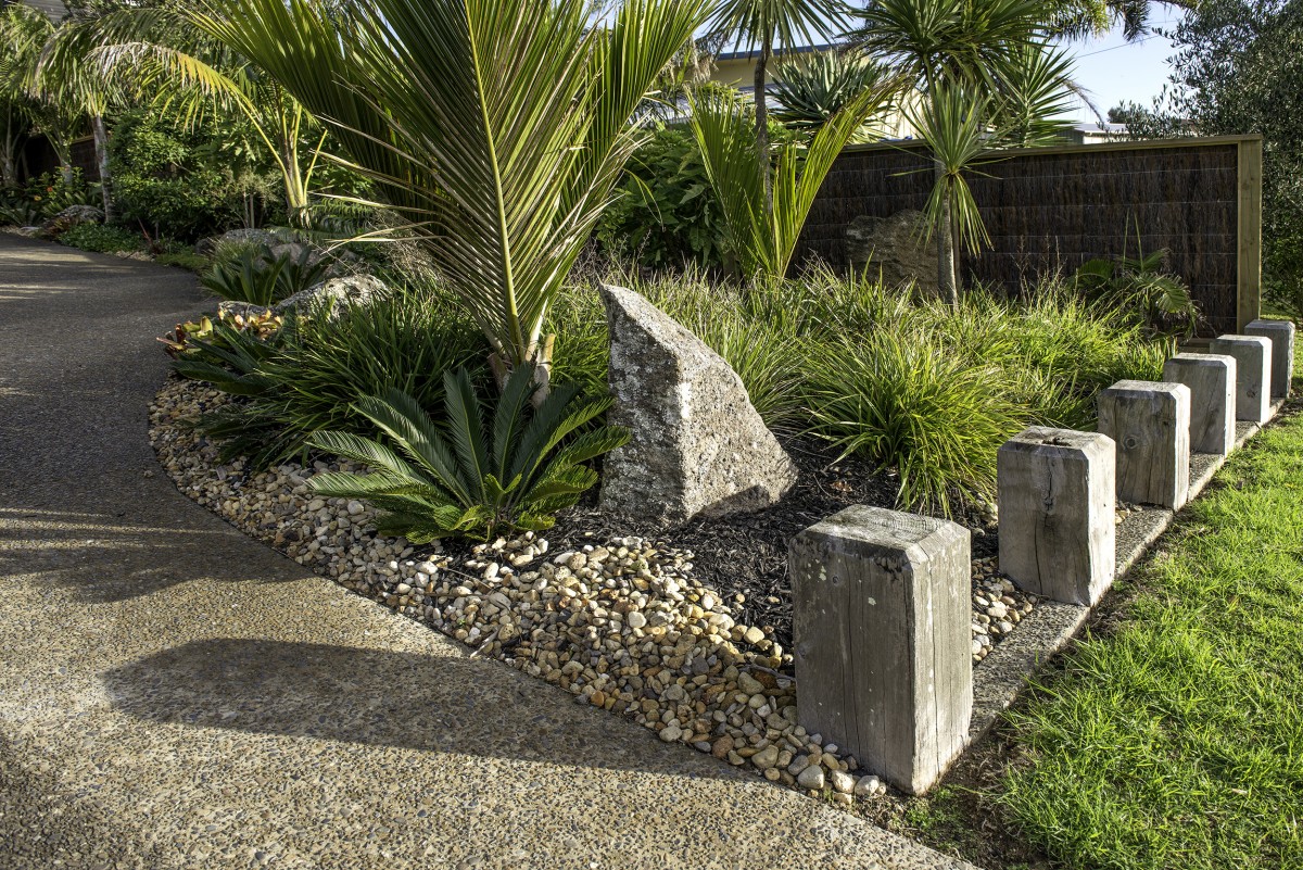 nikau palm driveway entrance