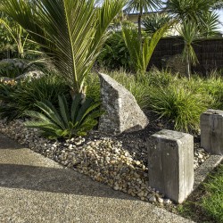 nikau palm driveway entrance