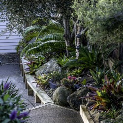planted border garden