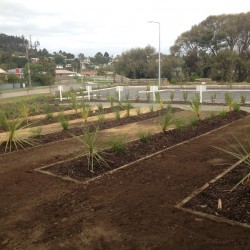 Planting a large garden for a commercial property