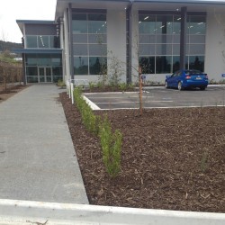 Planting a large garden for a commercial property