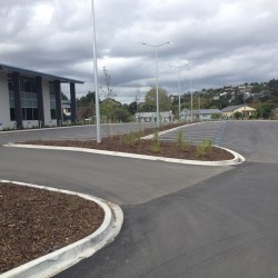 Planting a large garden for a commercial property