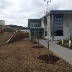 Planting a large garden for a commercial property