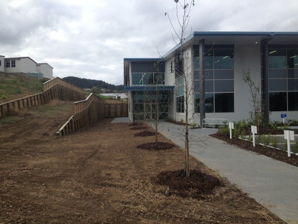 Planting a large garden for a commercial property