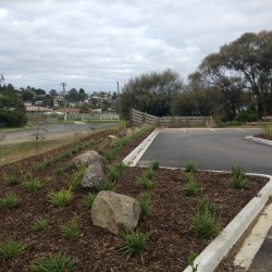 Planting a large garden for a commercial property