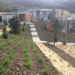 landscape design project omarino