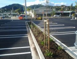 landscape design project pac n save