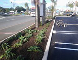 landscape design project pac n save