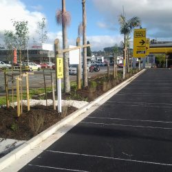 landscape design project pac n save