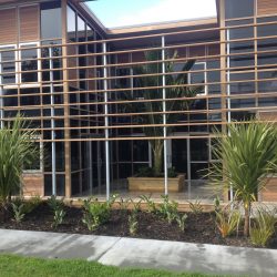 planting project johnson o shea 1