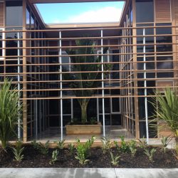 planting project johnson o shea