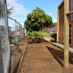 planting project johnson o shea 3