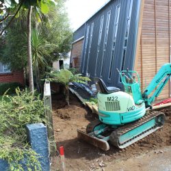 planting project johnson o shea 5