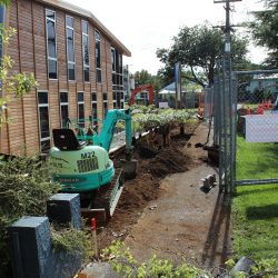 planting project johnson o shea 6