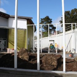 planting project tumanako 01