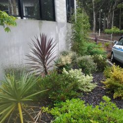 planting project tumanako 02