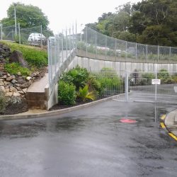 planting project tumanako 03