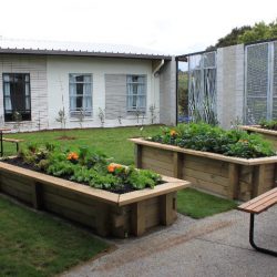 planting project tumanako 04