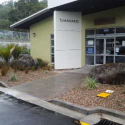 planting project tumanako