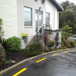 planting project tumanako