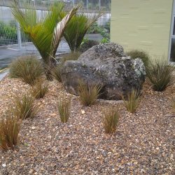 planting project tumanako