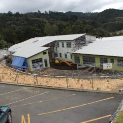 planting project tumanako