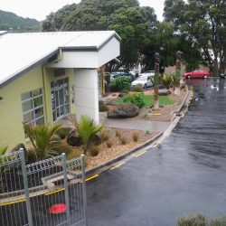 planting project tumanako