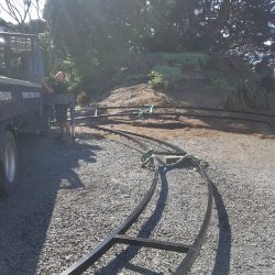 landscape design project querida and graeme mangawhai