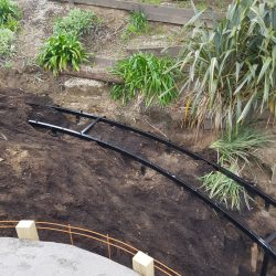 landscape design project querida and graeme mangawhai