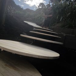 landscape design project querida and graeme mangawhai