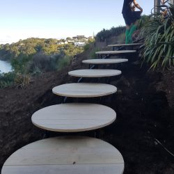 landscape design project querida and graeme mangawhai