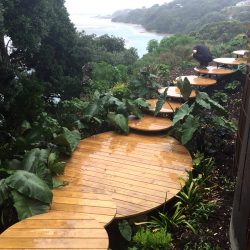 mangawhai hillside landscaping project