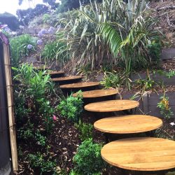 mangawhai hillside landscaping project