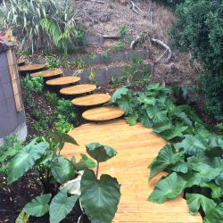 mangawhai hillside landscaping project
