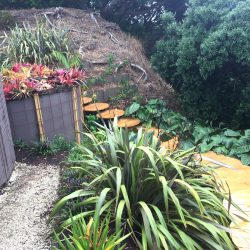 mangawhai hillside landscaping project