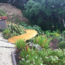 mangawhai hillside landscaping project