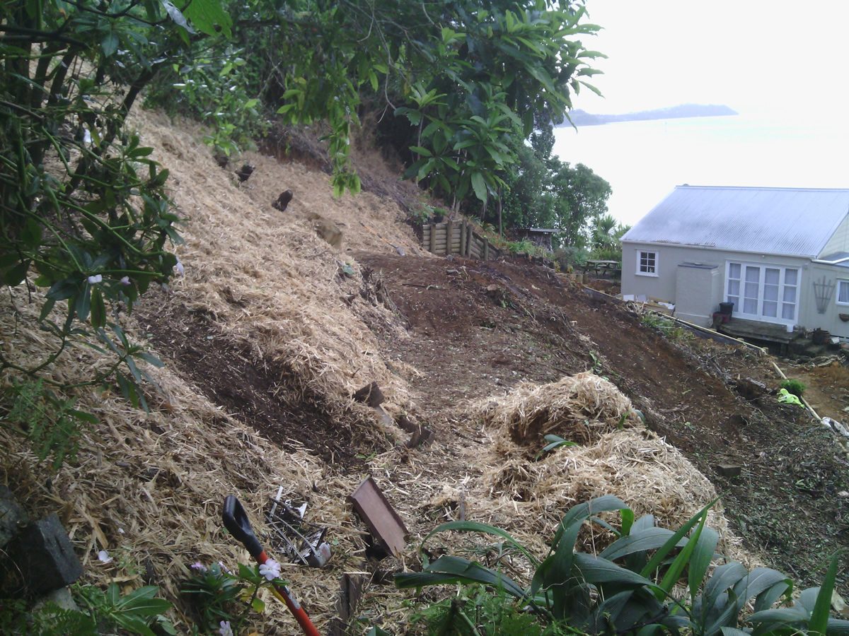 Landscaping A Steep Section At A Coastal Property