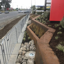 McDonalds Planting Whangarei