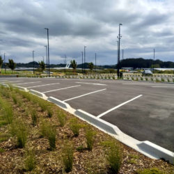 Pohe Island Carpark Planting 2