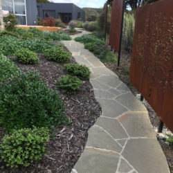 Waipu Cove garden pathway