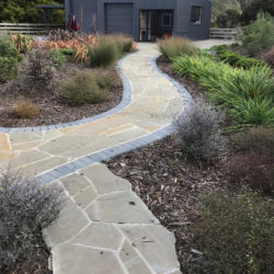 Waipu Cove garden planting