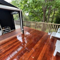 Landscape Design: Outdoor Entertainment area