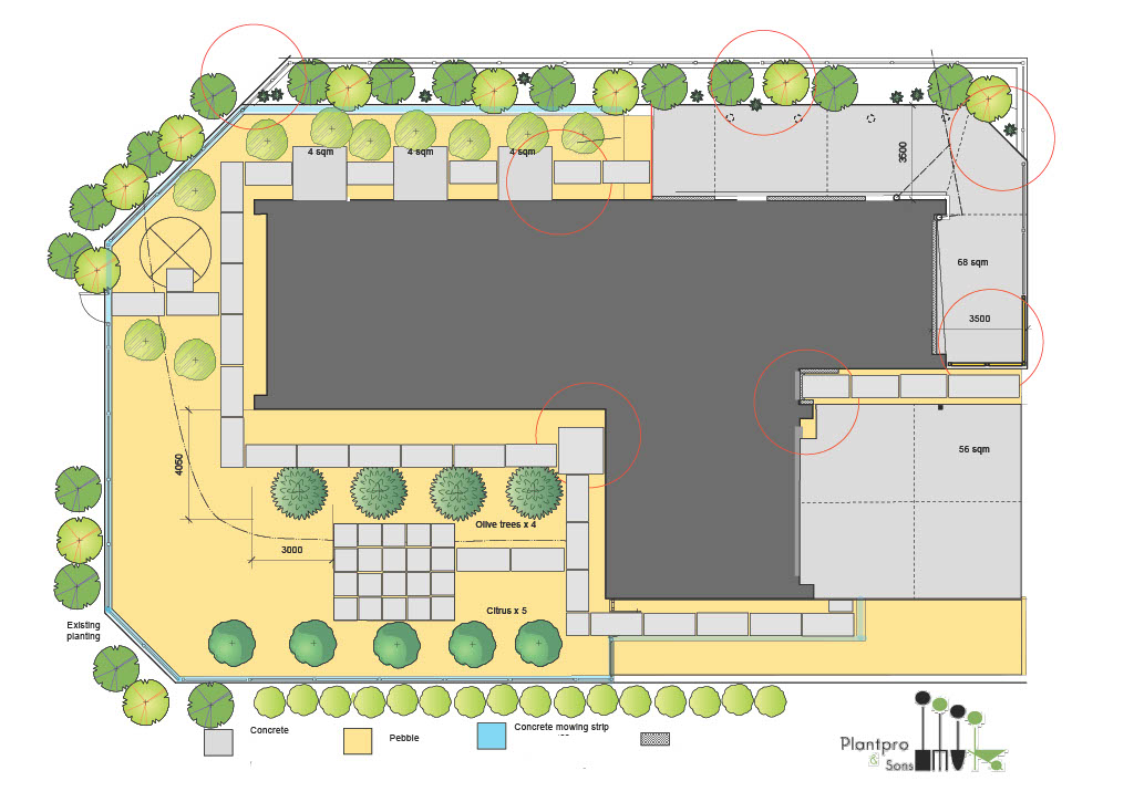 Landscape Design Process - Concept Design