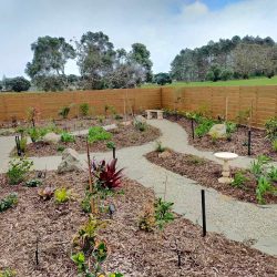Tropical Backyard Oasis