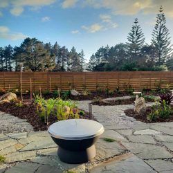 Tropical Backyard Oasis