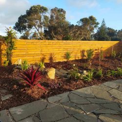 Tropical Backyard Oasis