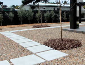 paving and concrete whangarei