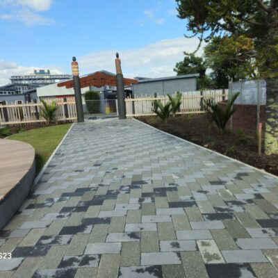 Paved school pathway with herringbone pavers and new planting at Whangarei Intermediate